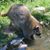 Michelle Ormosen Ertman's profile image