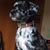 Katie Heller's profile image