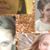 Angela Buckley's profile image