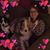 Teresa Cabe Young's profile image