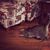 Michelle Ortman's profile image