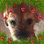 Lindsay Scott's profile image