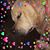 Alicia Brown's profile image