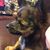 Debbie Holeman Guess's profile image
