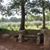 Doris Taylor Longworth's profile image
