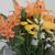 Judy Poel's profile image