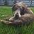 Nancy Buchholtz's profile image