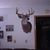Jesse Graber's profile image