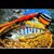 Steve Pfleghaar's profile image