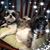 Glenda Gibbons's profile image
