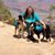 Michelle Strauss Fuery's profile image