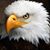 Steve Rogue's profile image