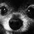 Melissa Gray Best's profile image