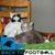 Gracie Kat's profile image