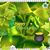 Kristy Hall Willis's profile image