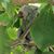 Julie Morrow Siegler's profile image