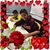 Toni White Prugh's profile image