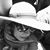 Kelly Neves's profile image