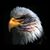 Phil McKinley's profile image