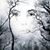 Lisa K. Bacallao's profile image