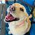 Rhonda Terry Petr's profile image