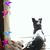 Judy Blooms's profile image