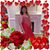 Moneka Rizk's profile image