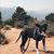 Chris Eldert's profile image