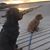 Kathy Krus Sears Johnson's profile image
