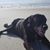 Kurt Althoff's profile image
