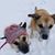 Diane Mosso's profile image