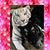 TigerLady Bailey's profile image