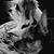 PD Cappola's profile image
