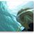 Judy Morgan Loomis's profile image