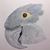 Keith Vaughn's profile image