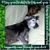 Stephen Maurer's profile image