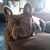 Jill Burlingame's profile image
