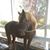 Victoria Tazayoni Hance's profile image