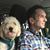 Jeffrey Stuart Wallace's profile image