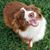 Natasha Leagon Burke's profile image