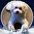 Nadia Janice's profile image