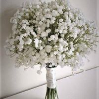 Kathy Kregar's profile image