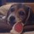 Linda Kohr Lutz's profile image