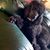 Linda Moser Langer's profile image