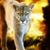 Sree Veda Naidu's profile image