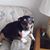 Dianne Lovely's profile image