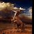 Omar C. Mota's profile image