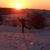 Karen Olin Proscia's profile image