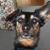 Denise Jahn's profile image
