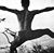 Oren Barnoy's profile image